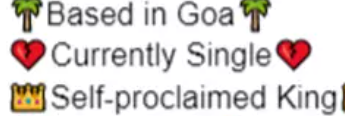 Instagram Bio in English