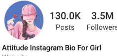 Impressive Instagram Bio for Girls